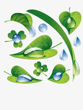 绿叶和露珠免抠