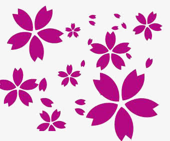 紫色小花免抠