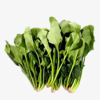 新鲜的菠菜免抠