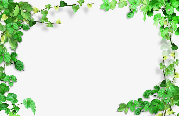 绿叶相框 植物相框免抠