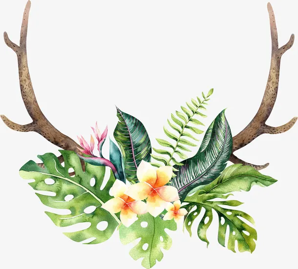 卡通手绘精美的花朵免抠