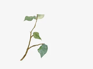 中国风素材免抠