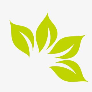 绿色芹菜叶免抠