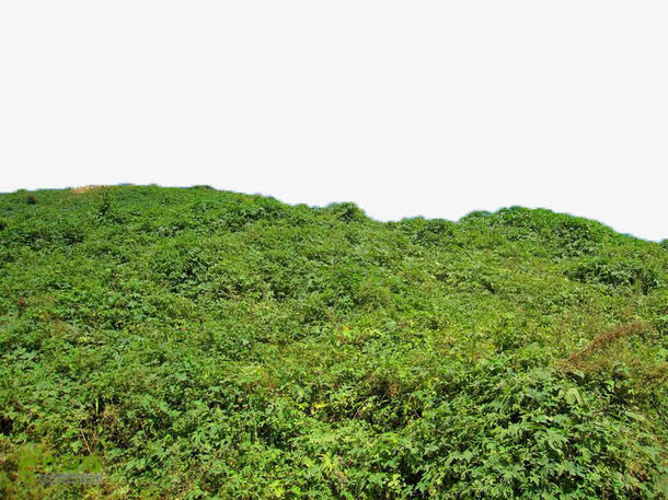 山坡一角免抠