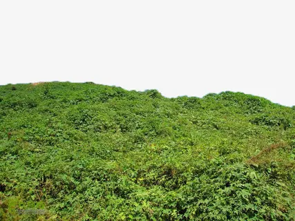 山坡一角免抠