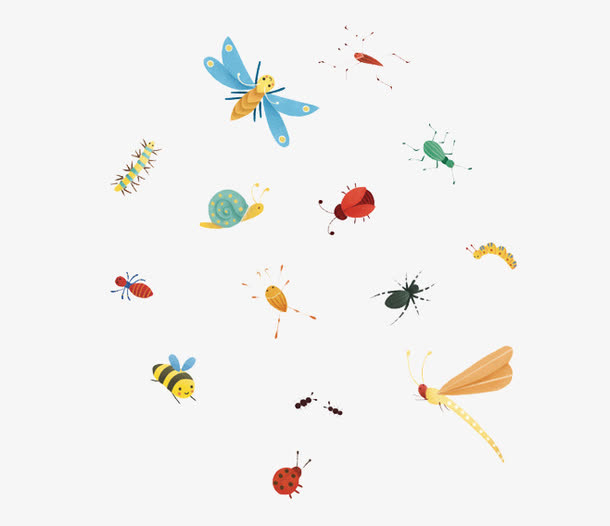 昆虫免抠