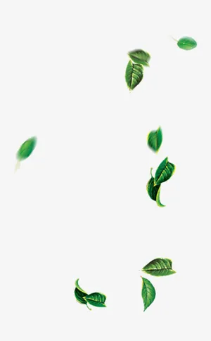 飘落的叶子免抠
