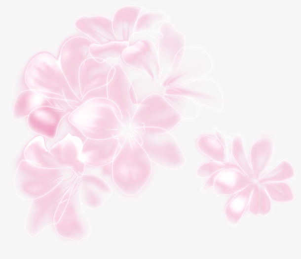 炫彩花朵免抠