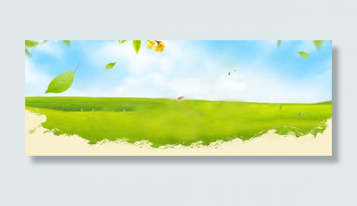 秋天落叶草坪背景banner