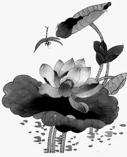 水墨荷花图免抠