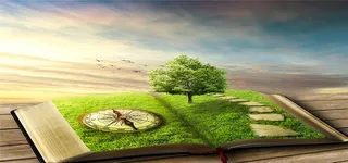 绿色书本指南针环保海报背景高清