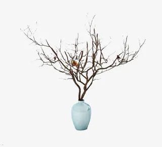 花瓶和树枝免抠