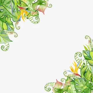 创意绿色植物叶子边框免抠