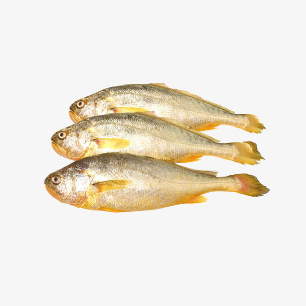 鱼免抠