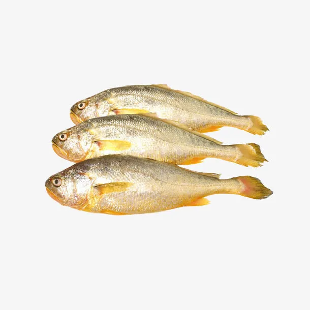 鱼免抠