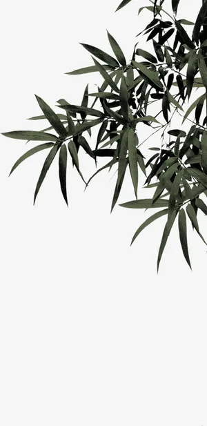 创意海报中国风竹叶免抠