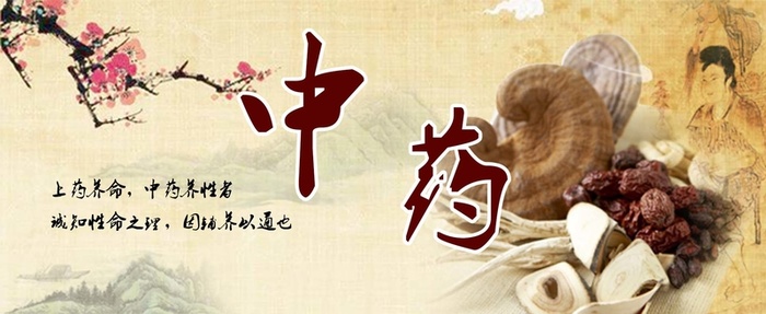 中药文化banner高清