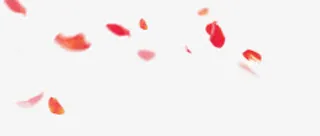 红色花瓣免抠