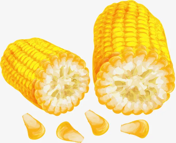 黄色玉米免抠