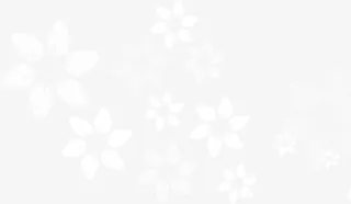 白色唯美春天花朵设计免抠