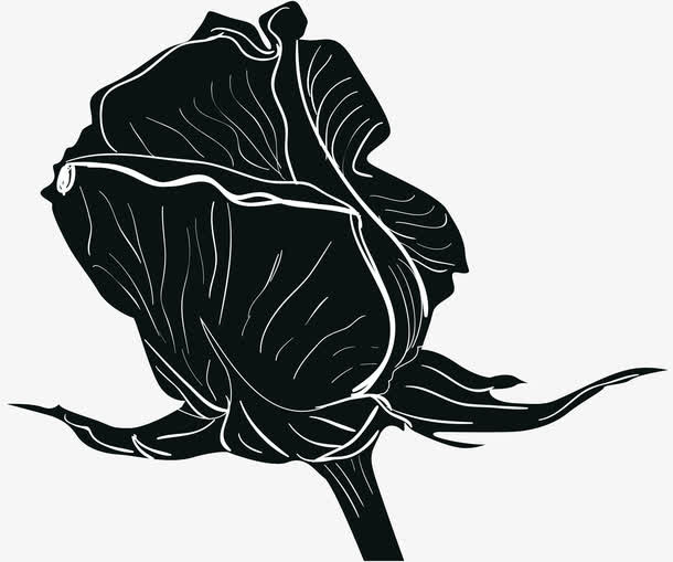 卡通手绘玫瑰花素材图免抠