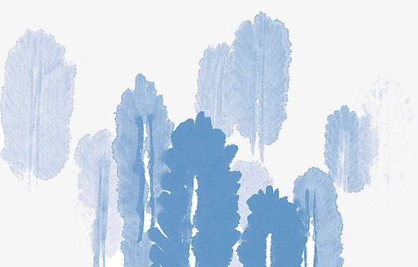 胡杨林高清免扣素材免抠