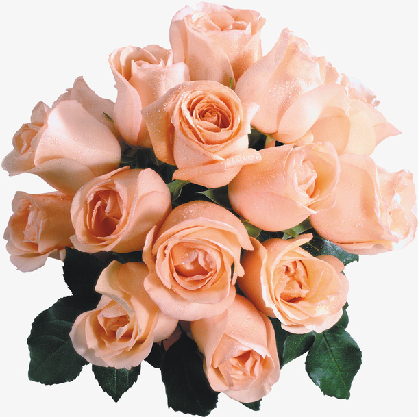 情人节的花免抠