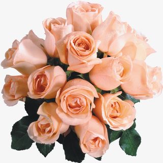 情人节的花免抠