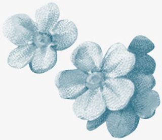 手绘复古素描花朵免抠