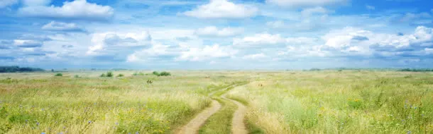 简约大气淘宝海报免抠