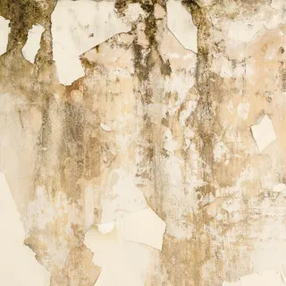 破旧的墙面摄影免抠