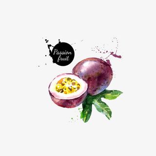 水彩百香果免抠