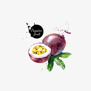 水彩百香果免抠