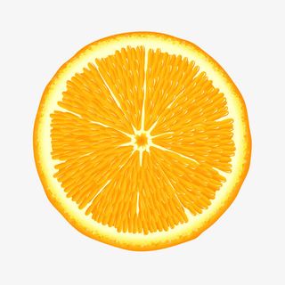 橙子矢量图免抠