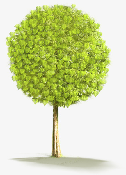 植物树叶和树绿色免抠