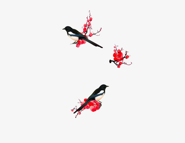 喜鹊免抠