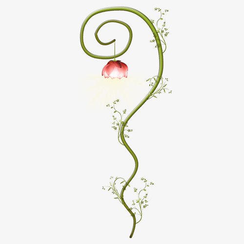 树枝花朵照亮唯美免抠