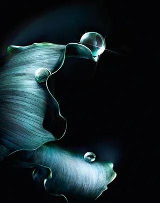 质感莲叶露珠化妆品海报背景素材高清