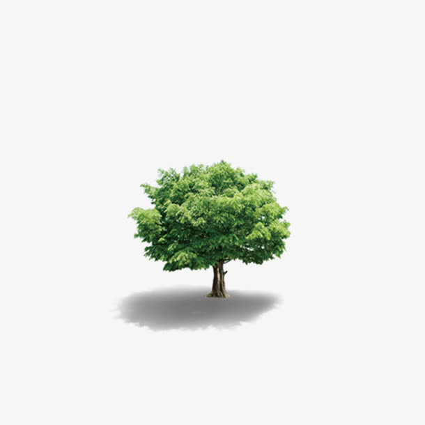 树免抠