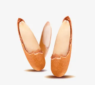 进口坚果巴西松子免抠