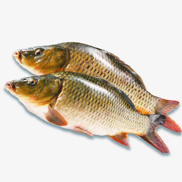 活鱼食材产品实物免抠