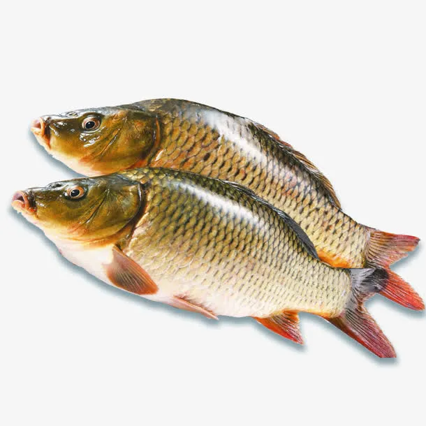 活鱼食材产品实物免抠