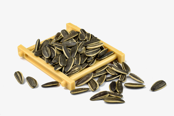 葵花子摄影免抠