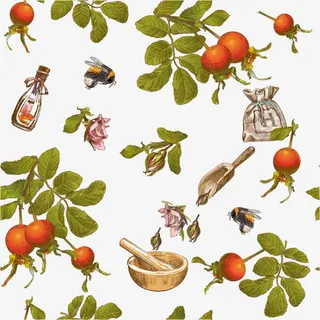 复古橙子柠檬蜂蜜矢量背景