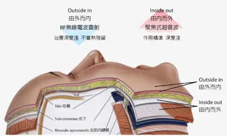 肌肤组织结构图免抠