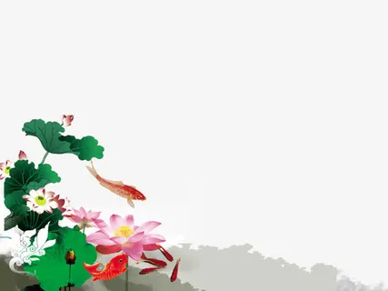 荷花游鱼免抠