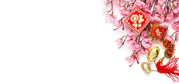 中国风喜庆桃花金币元宝中国结免抠