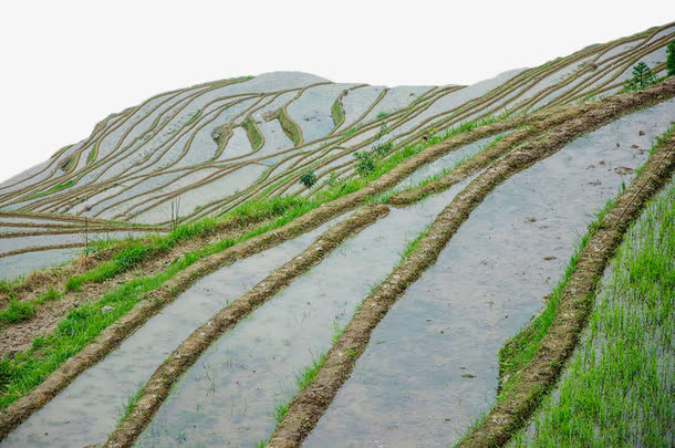 云南梯田免抠