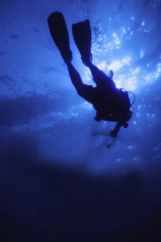 潜水海洋蓝色背景高清