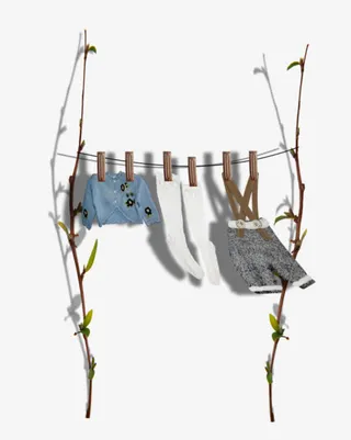 卡通树枝晾衣架衣服裤子免抠